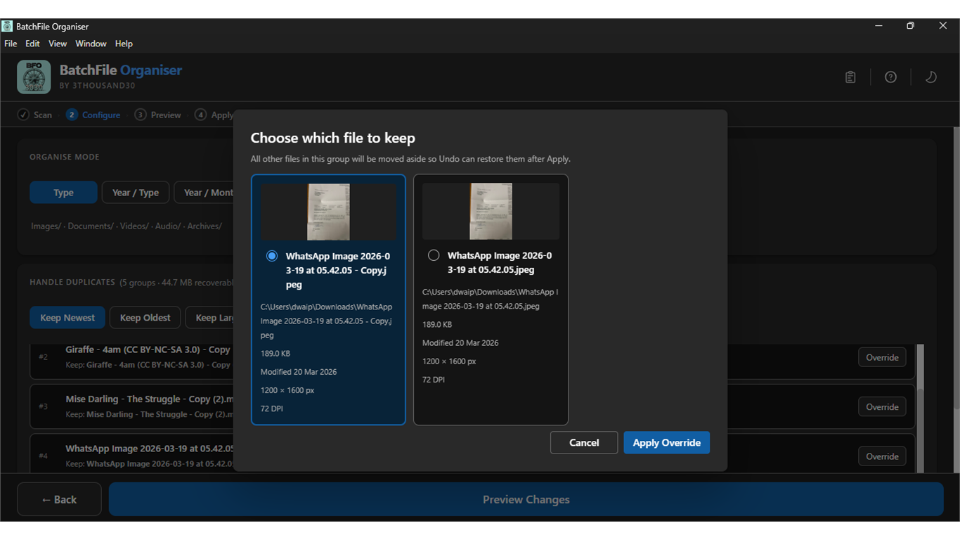 Configure step with manual override dialog to choose which duplicate file to keep