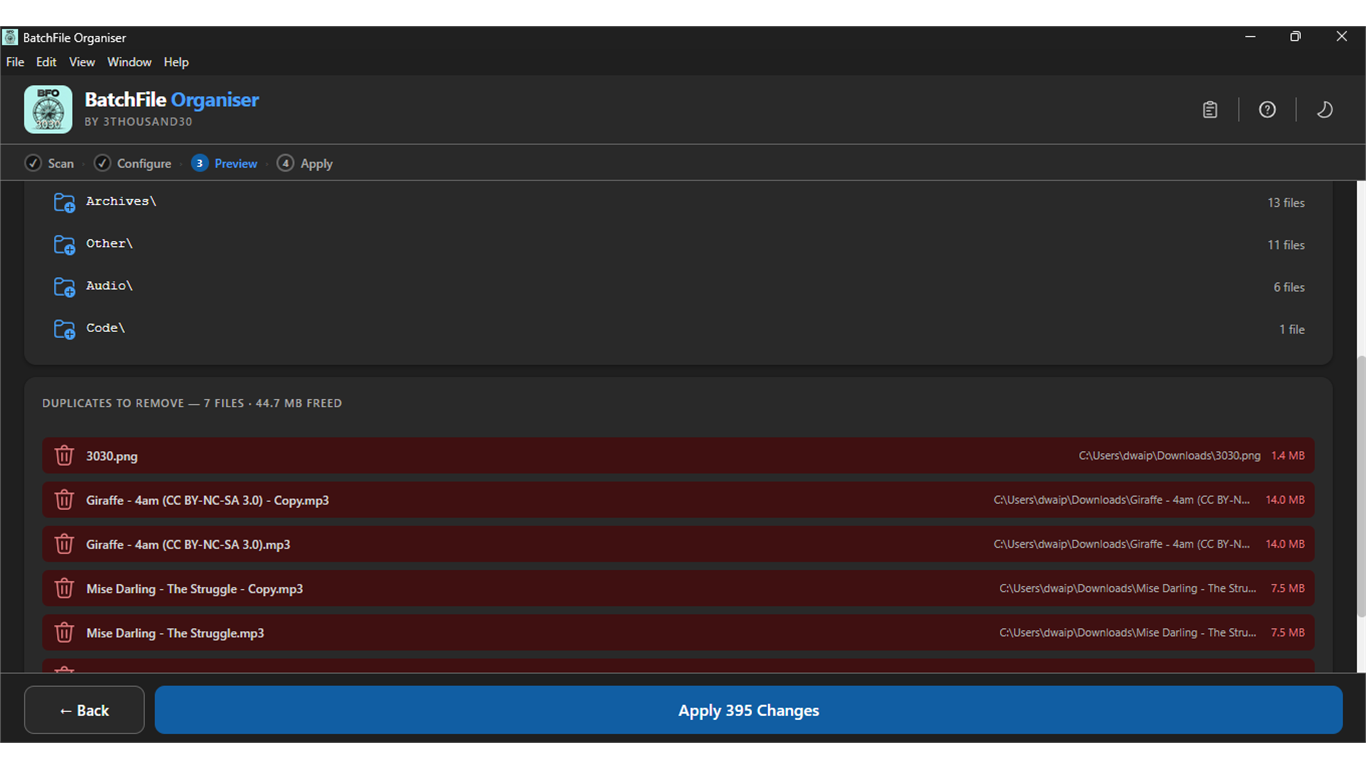 Preview showing new folder structure and list of duplicate files marked for removal