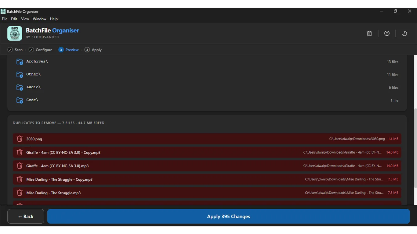 Preview showing new folder structure and list of duplicate files marked for removal