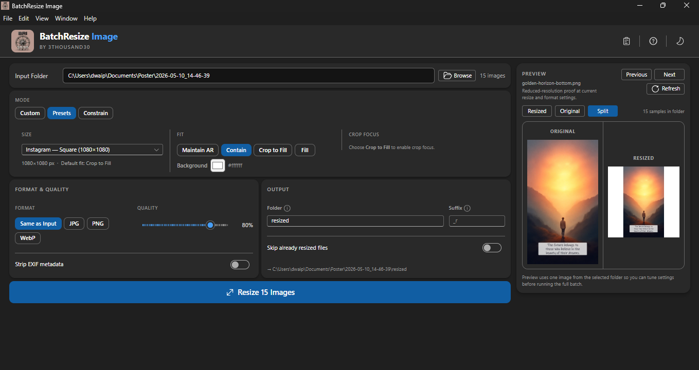 Preview before export — compare original and resized results